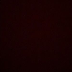 Meet your Posher, Sidney